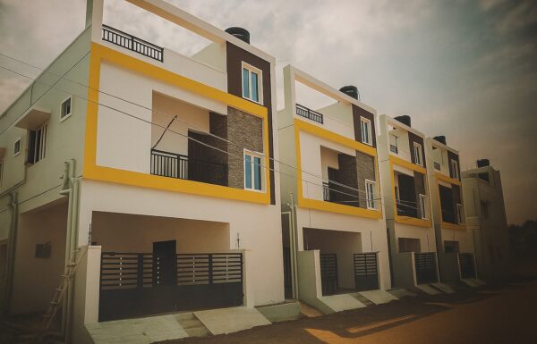 WhatsApp Image 2025-07-12 at 10.08.36